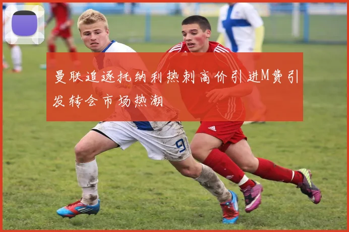 曼联追逐托纳利热刺高价引进M费引发转会市场热潮